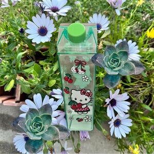 Hello Kitty cherry acrylic milk container